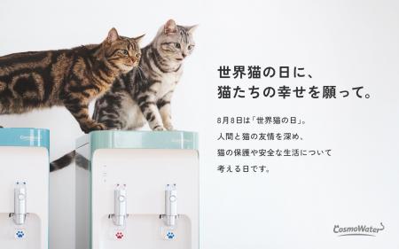 【世界猫の日に、猫たちの幸せを願って。】コスutf-8 【世界猫の日に、猫たちの幸せを願って。】コスutf-8