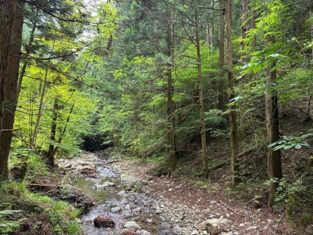 栃木県鹿沼市において新たな社有林「ナイス日光の森」 栃木県鹿沼市において新たな社有林「ナイス日光の森」