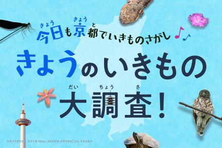 夏休み、京都市全域がいきもの探しのフィールドに。「 夏休み、京都市全域がいきもの探しのフィールドに。「