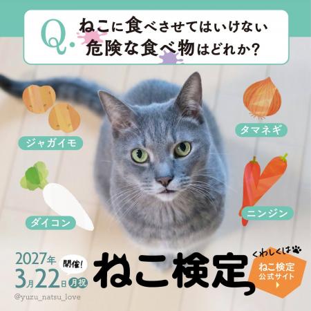 約4万人が受験した世界最大級の猫知識専門検定「ねこ 約4万人が受験した世界最大級の猫知識専門検定「ねこ