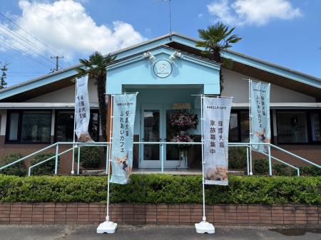 【新潟県初陸上!】全国41店舗を達成した「ANELLA CAF 【新潟県初陸上!】全国41店舗を達成した「ANELLA CAF