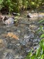 沢のある土地だけを集めた専門ポータル「沢バンク」、 沢のある土地だけを集めた専門ポータル「沢バンク」、
