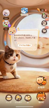 一緒に過ごしたすべての時間が、絆になる|Meowster、 一緒に過ごしたすべての時間が、絆になる|Meowster、
