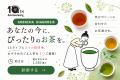 1000種類超のお茶から、“まだ知らない一杯”に出会う。 1000種類超のお茶から、“まだ知らない一杯”に出会う。