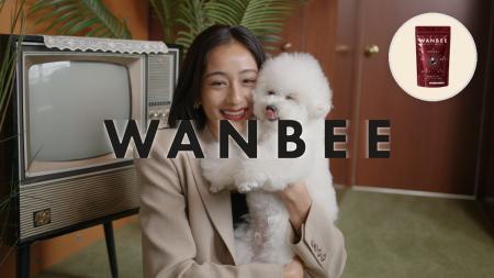 6年根高麗人参配合の犬用サプリ「WANBEE」、公式販売 6年根高麗人参配合の犬用サプリ「WANBEE」、公式販売