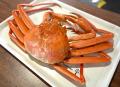 【富山・魚津市】話題のレンタルEVトゥクトゥク!8月1 【富山・魚津市】話題のレンタルEVトゥクトゥク!8月1
