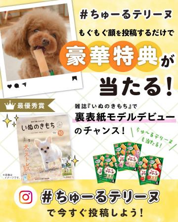 いなばペットフード 「#ちゅーるテリーヌ」みんなで いなばペットフード 「#ちゅーるテリーヌ」みんなで