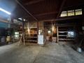 松阪牛発祥の地から、900日かけて育てた「特産松阪牛 松阪牛発祥の地から、900日かけて育てた「特産松阪牛