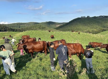 【夏休み最後の旅育・参加者募集】牛とふれあい、「い 【夏休み最後の旅育・参加者募集】牛とふれあい、「い