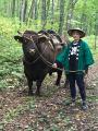 【夏休み最後の旅育・参加者募集】牛とふれあい、「い 【夏休み最後の旅育・参加者募集】牛とふれあい、「い