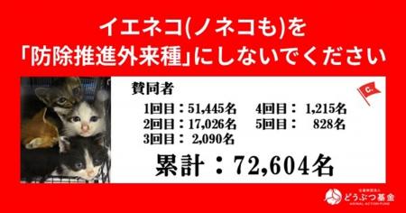 環境省の方針転換を受けて、どうぶつ基金が新たに意見 環境省の方針転換を受けて、どうぶつ基金が新たに意見