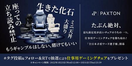 たぶん絶対、最も満足度が高いチェアのうちの一つ、仕 たぶん絶対、最も満足度が高いチェアのうちの一つ、仕