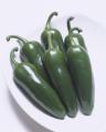 【あべのハルカス近鉄本店】8月31日は「野菜の日」! 【あべのハルカス近鉄本店】8月31日は「野菜の日」!