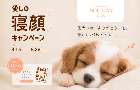 The Mate Tokyo、国際犬の日に合わせて愛犬の寝顔を募 The Mate Tokyo、国際犬の日に合わせて愛犬の寝顔を募