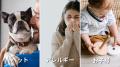 【発売2ヶ月で累計4,500個突破】“つぶさずに、一utf-8 【発売2ヶ月で累計4,500個突破】“つぶさずに、一utf-8