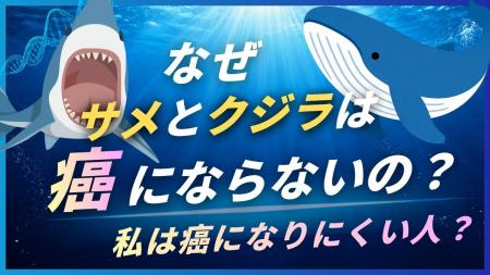 サメとクジラは、なぜ「がん」に強いのか ─ 巨大生物 サメとクジラは、なぜ「がん」に強いのか ─ 巨大生物
