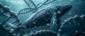 サメとクジラは、なぜ「がん」に強いのか ─ 巨大生物 サメとクジラは、なぜ「がん」に強いのか ─ 巨大生物