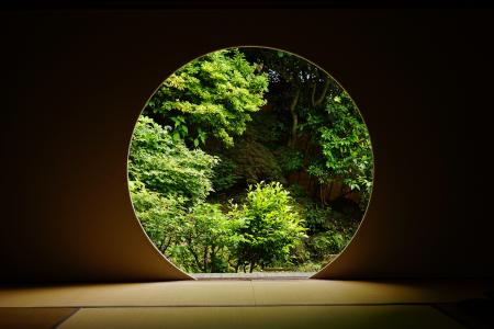【数社限定】「Japanese Garden TV(登録者19万人)」と 【数社限定】「Japanese Garden TV(登録者19万人)」と