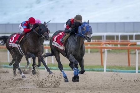 ディクテオンがコリアカップ(G2)の招待受諾!ディフ ディクテオンがコリアカップ(G2)の招待受諾!ディフ