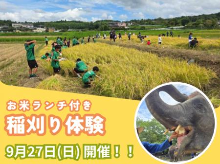 稲刈りイベント開催のお知らせ SDGs実践!ぞうさんの 稲刈りイベント開催のお知らせ SDGs実践!ぞうさんの