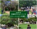 【南都グループ周年事業】沖縄各地のガジュマルと人々 【南都グループ周年事業】沖縄各地のガジュマルと人々