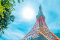 東京タワー内に国技・相撲を主とした日本の伝統文化を 東京タワー内に国技・相撲を主とした日本の伝統文化を