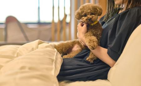 奈良ではまだ少ない愛犬と泊まれるリゾートホテル 3 奈良ではまだ少ない愛犬と泊まれるリゾートホテル 3