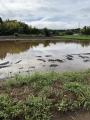 雨風太陽が、令和8年8月千葉豪雨「応援商品」の販売を 雨風太陽が、令和8年8月千葉豪雨「応援商品」の販売を