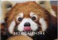 【のんほいフォトアワード2026】誰でも参加OK!公式カ 【のんほいフォトアワード2026】誰でも参加OK!公式カ