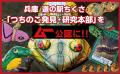 能登半島をミステリーツアーで盛り上げる! 「ムー日 能登半島をミステリーツアーで盛り上げる! 「ムー日