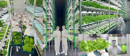 “見えない泡” が農業を変える。UFB技術、半年間の実証 “見えない泡” が農業を変える。UFB技術、半年間の実証
