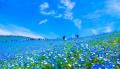 & やど管理、茨城県の対応エリアを拡大。大洗に加え & やど管理、茨城県の対応エリアを拡大。大洗に加え