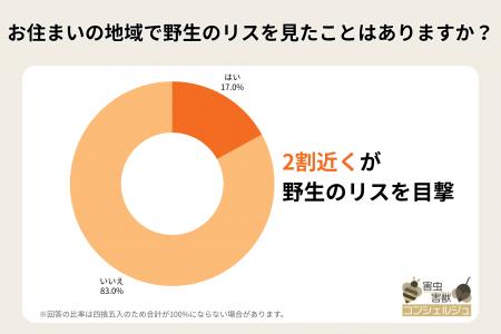 【独自調査】全体の約2割が野生のリスを目撃!外来種 【独自調査】全体の約2割が野生のリスを目撃!外来種
