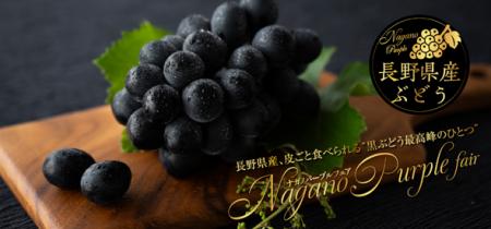 和食麺処サガミで「ナガノパープルデザート」を販売!! 和食麺処サガミで「ナガノパープルデザート」を販売!!