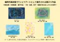 小3で金賞を受賞した一枚の絵から、万博、そして福岡 小3で金賞を受賞した一枚の絵から、万博、そして福岡