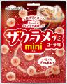 年に一度のグミの祭典!『グミの日』に向けまさに主役 年に一度のグミの祭典!『グミの日』に向けまさに主役