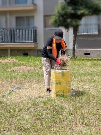 【地域の困りごとを福祉の“仕事”に】自治会の「草刈り 【地域の困りごとを福祉の“仕事”に】自治会の「草刈り