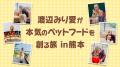 日本直販、“タレントの好き”を商品化する第1弾。元乃 日本直販、“タレントの好き”を商品化する第1弾。元乃