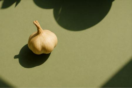 バイオガスプラントから農業、食へ。米沢発の新ブラン バイオガスプラントから農業、食へ。米沢発の新ブラン