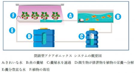奈良建設、GREEN×EXPO 2027 横浜市出展「建物空間を 奈良建設、GREEN×EXPO 2027 横浜市出展「建物空間を
