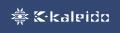 K-kaleido、エクセルソフトと販売代理店契約 AI PC向 K-kaleido、エクセルソフトと販売代理店契約 AI PC向