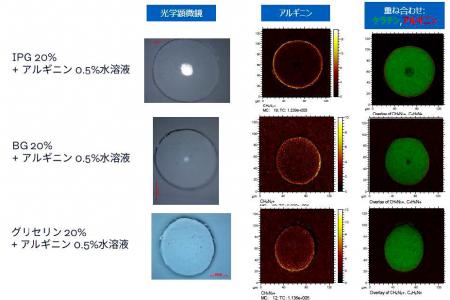エポラ、独自原料「浸透型ヘマチン」を開発 エポラ、独自原料「浸透型ヘマチン」を開発