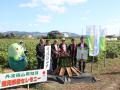 小さくてかわいい紫色の花―丹波篠山の特産品「黒大豆 小さくてかわいい紫色の花―丹波篠山の特産品「黒大豆