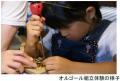 六甲高山植物園 ROKKO森の音ミュージアム 文化の秋 月 六甲高山植物園 ROKKO森の音ミュージアム 文化の秋 月