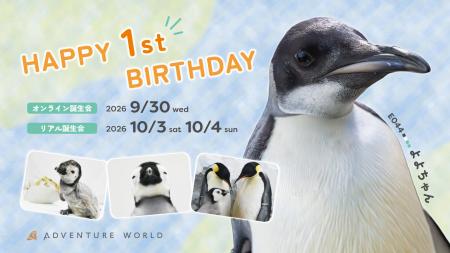 コウテイペンギンのこども「よよちゃん」が、1歳を迎 コウテイペンギンのこども「よよちゃん」が、1歳を迎
