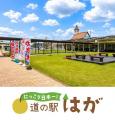 栃木県芳賀町産農産物の魅力を詰め込んだ3商品が道の 栃木県芳賀町産農産物の魅力を詰め込んだ3商品が道の