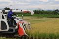 【PFUブルーキャッツ石川かほく】石川県内灘町宮坂地 【PFUブルーキャッツ石川かほく】石川県内灘町宮坂地