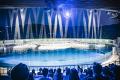 【京都水族館】シルバーウィークの5日間限定!夏utf-8 【京都水族館】シルバーウィークの5日間限定!夏utf-8