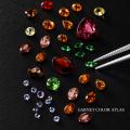 【PARCELLE JEWELRY】9月の「CARAVAN」を全国9店舗で 【PARCELLE JEWELRY】9月の「CARAVAN」を全国9店舗で