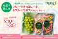 新宿高野のロングセラー商品「フルーツチョコレート」 新宿高野のロングセラー商品「フルーツチョコレート」
